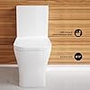 Concord Square One-Piece Toilet