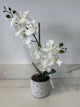 White Orchid Floral Brick Vase