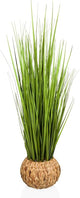 Spiked Plant In Straw Vase