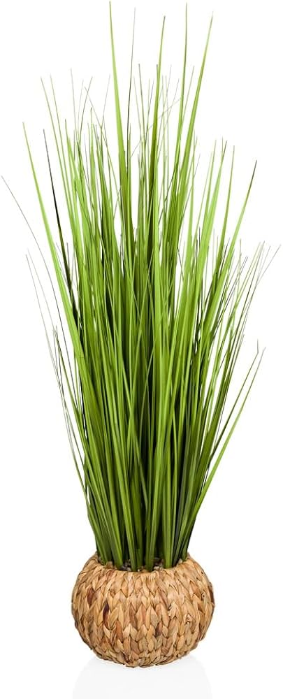 Spiked Plant In Straw Vase
