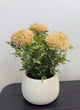 Peach White Decor Floral