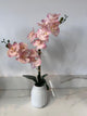 Blush Pink Orchid In Stripped Vase