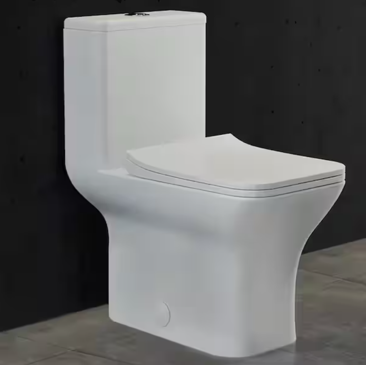 Carre 1-Piece 0.8/1.28 GPF Dual Flush Square Toilet in White, Seat Included