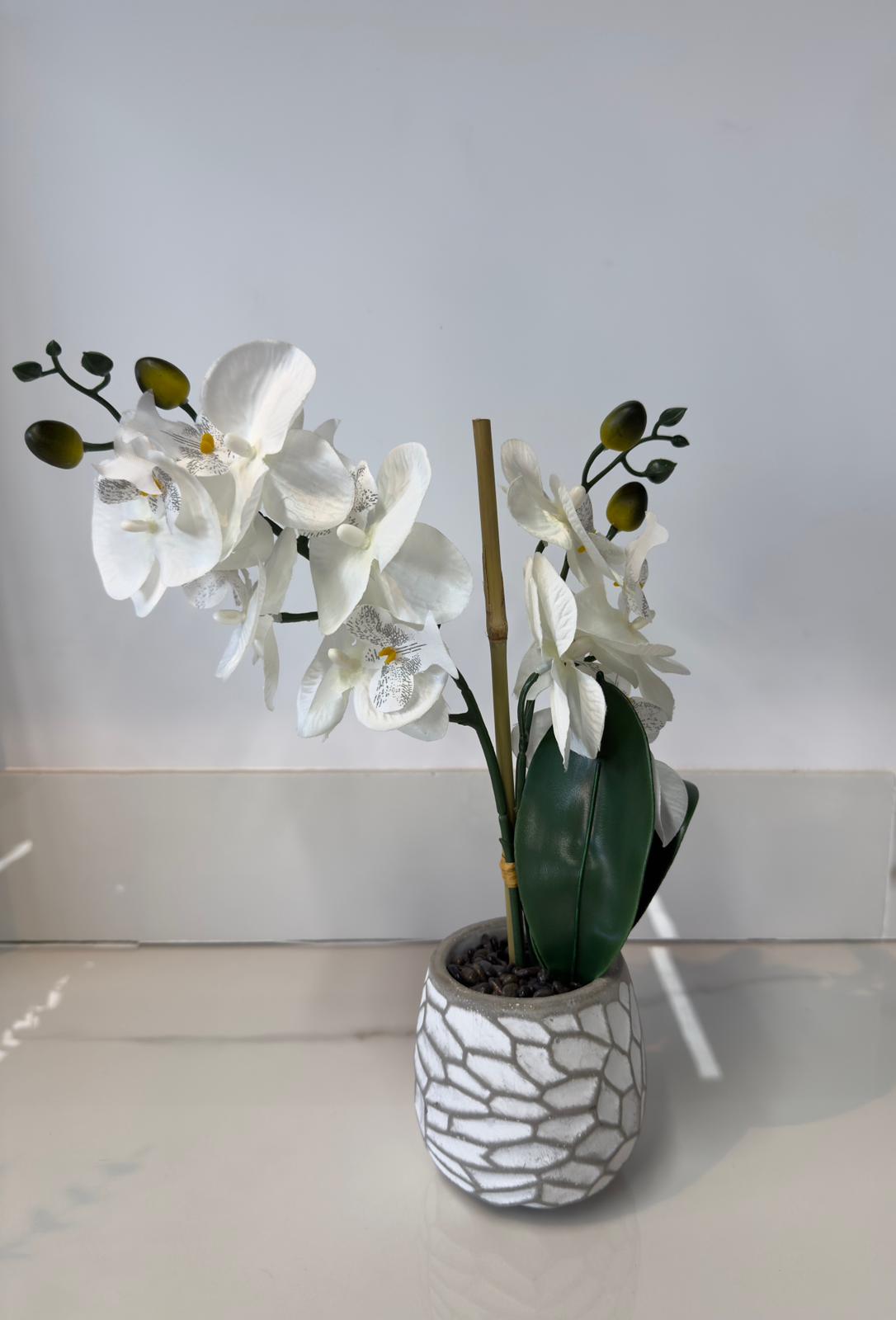 White Orchid Brick Vase