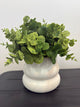Green & White Decor Plant