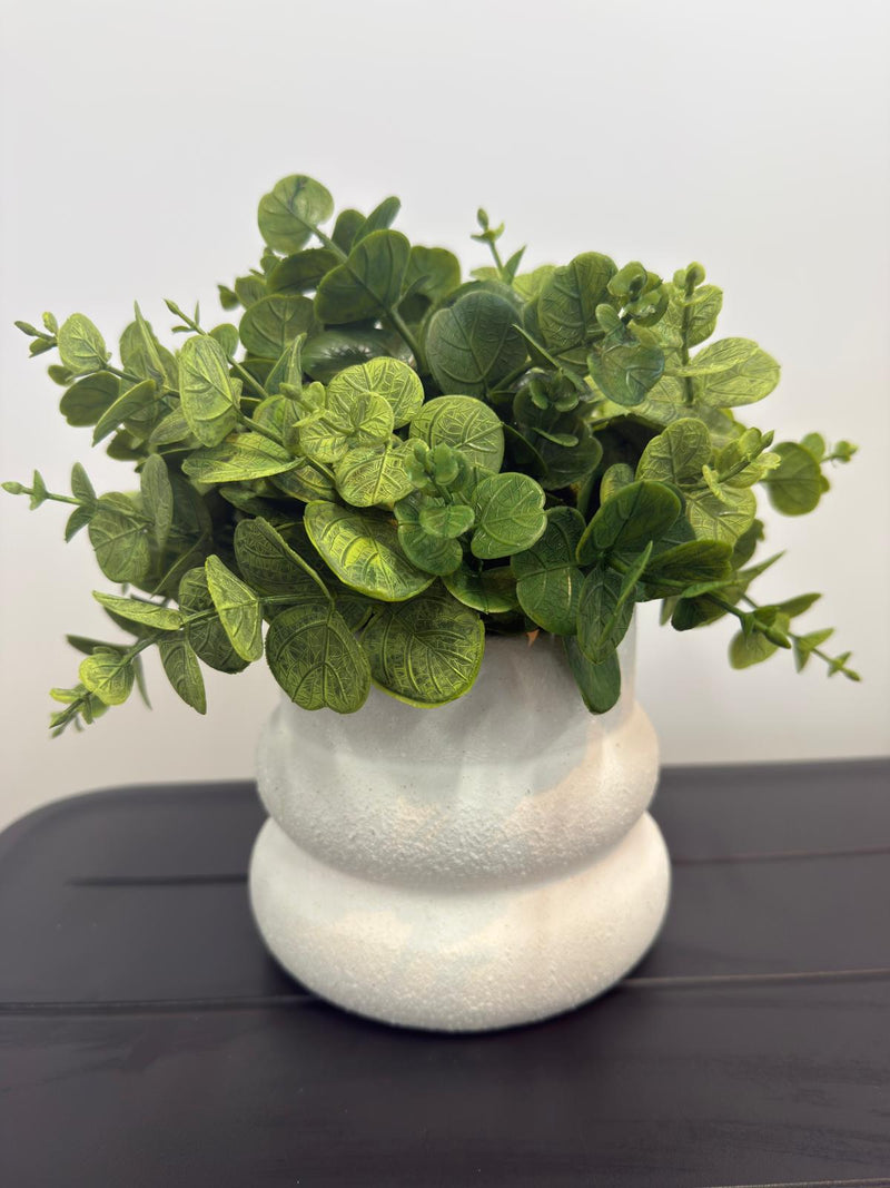 Green & White Decor Plant