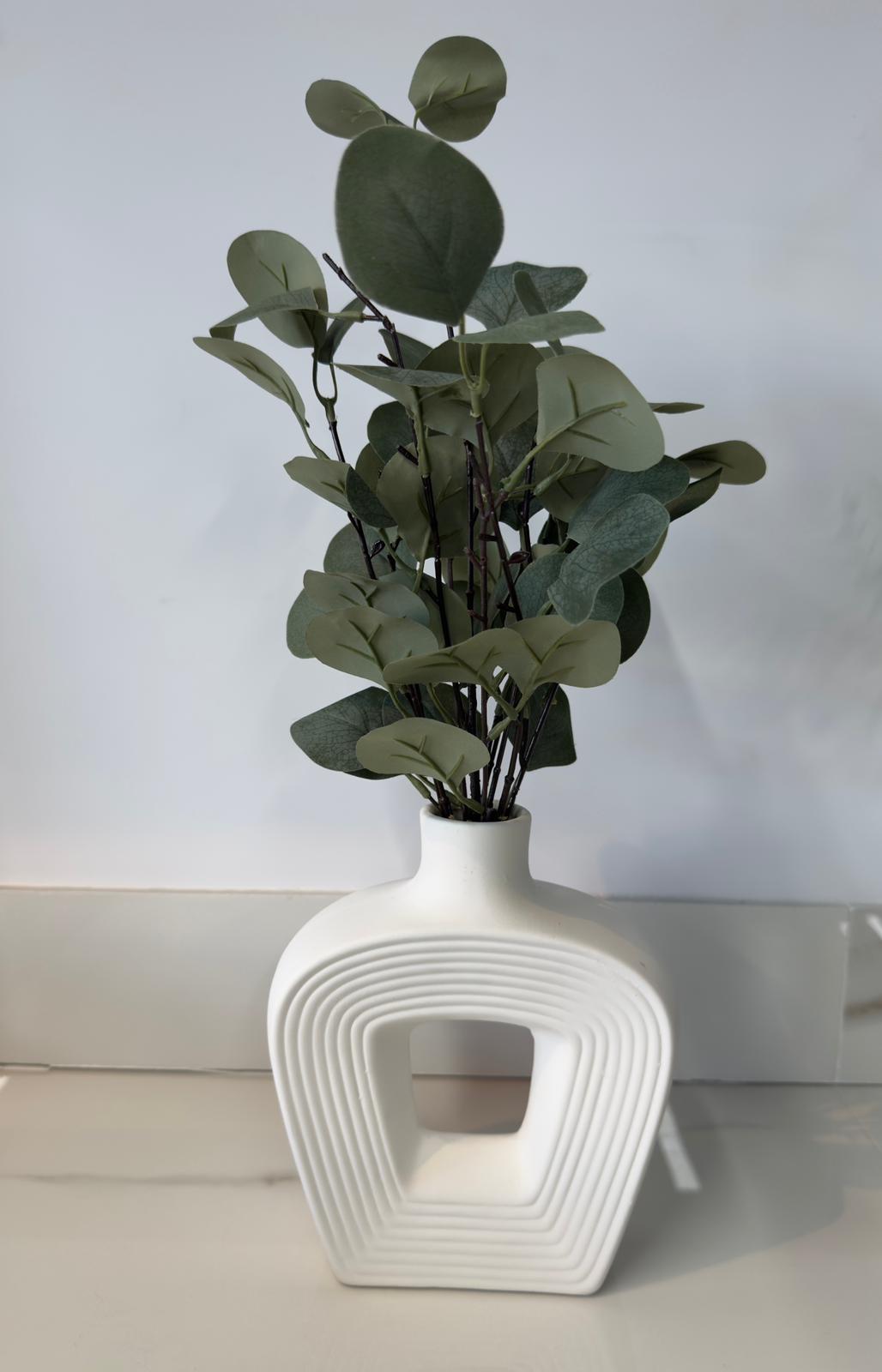 Eucalyptus Plant White Vase