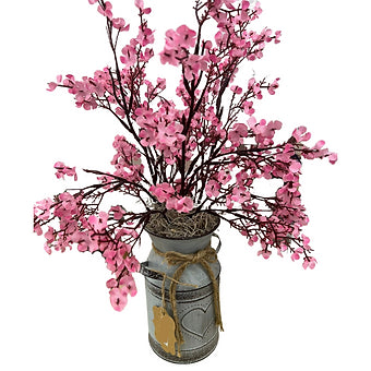 Flowers and Plants