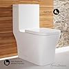 Concord Square One-Piece Toilet